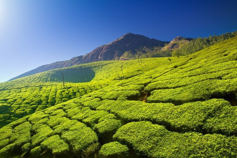 5 Best Hill Stations in South India 